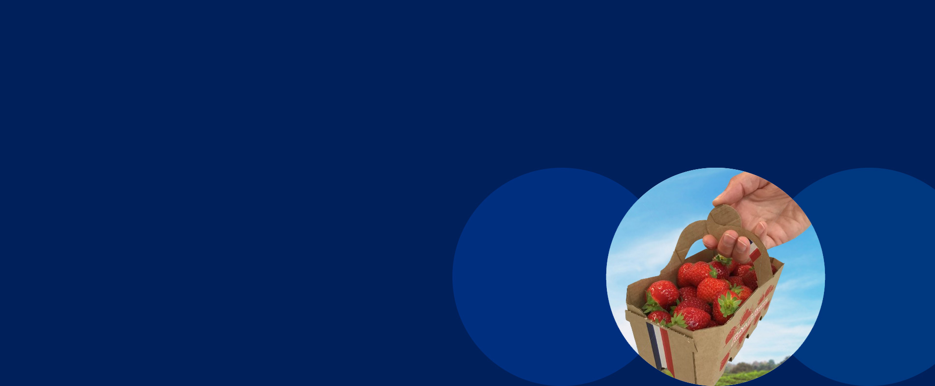 punnet packaging, fruit packaging, punnet handles