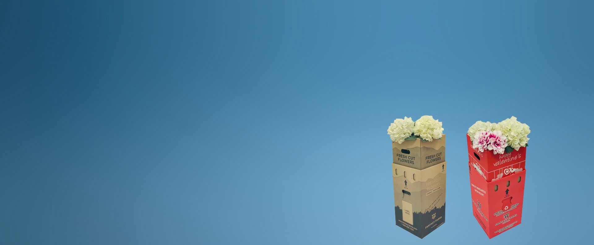 Flower Packaging, Flower Boxes