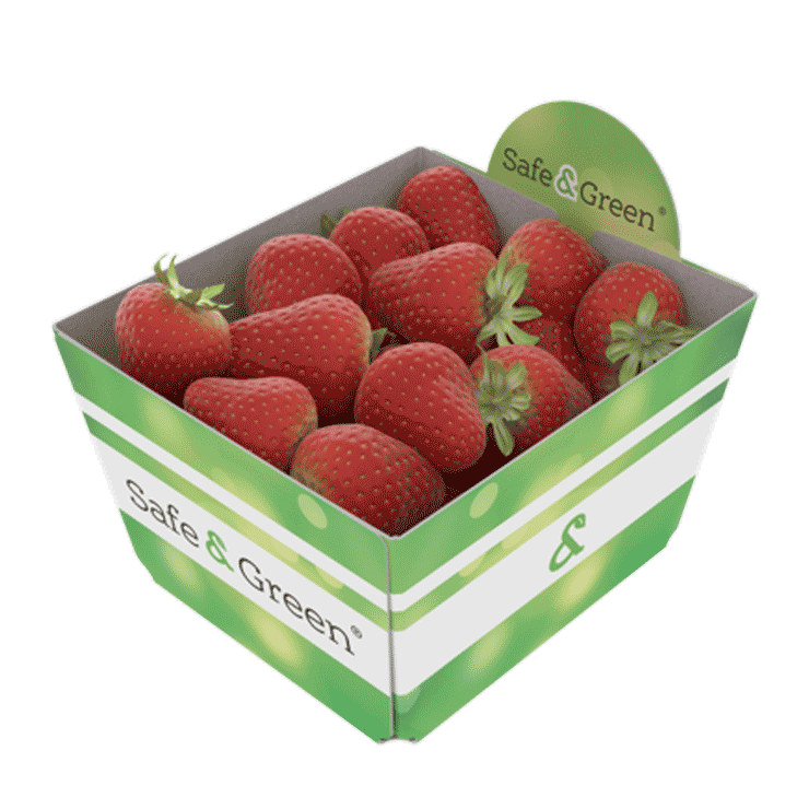 Open Strawberry Punnets