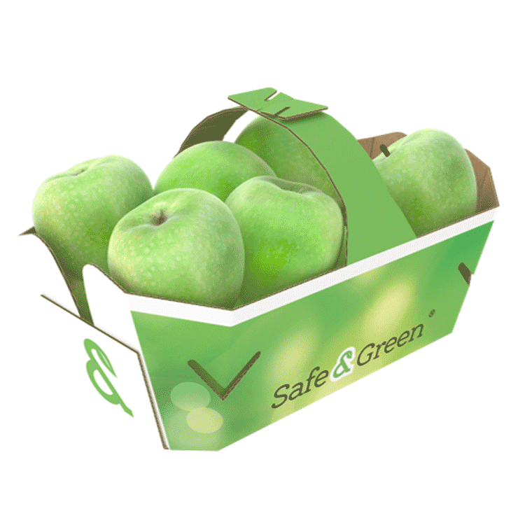 Basket-with-handle-apples