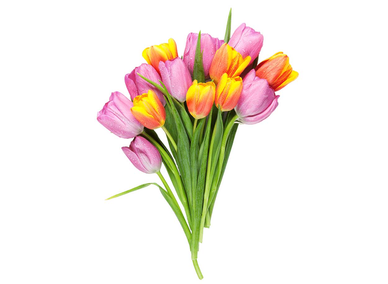 Flower Packaging, Flower Boxes