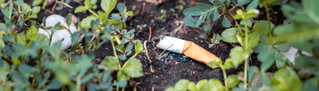 colilla-cigarrillo-bosque-prevenir-incendios-forestales