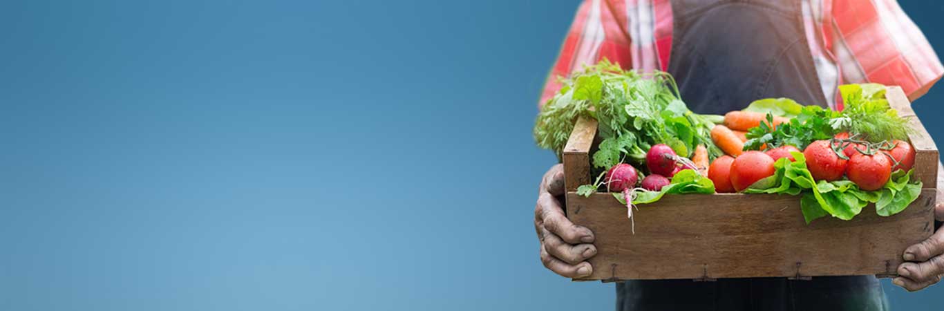 Mise en scène de légumes dans une palette 