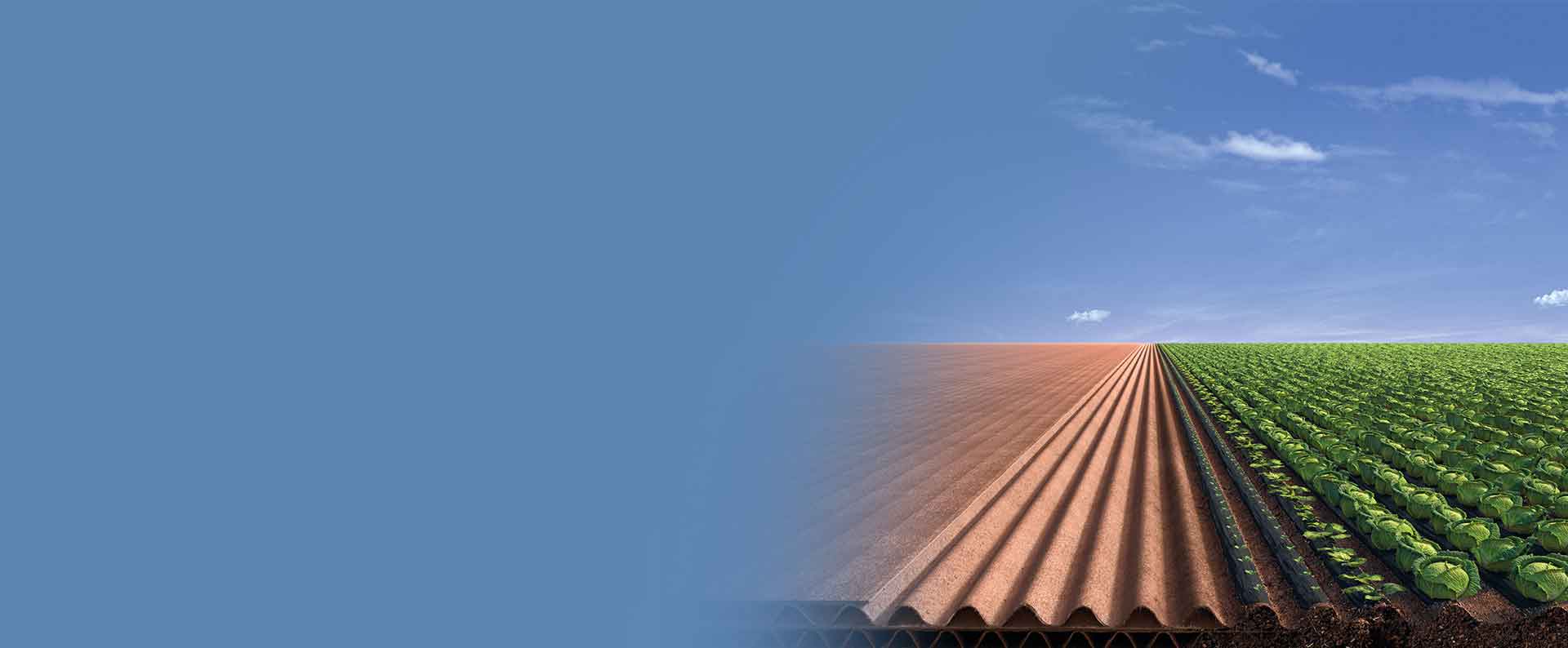 Verse producten, verpakkingen voor verse producten