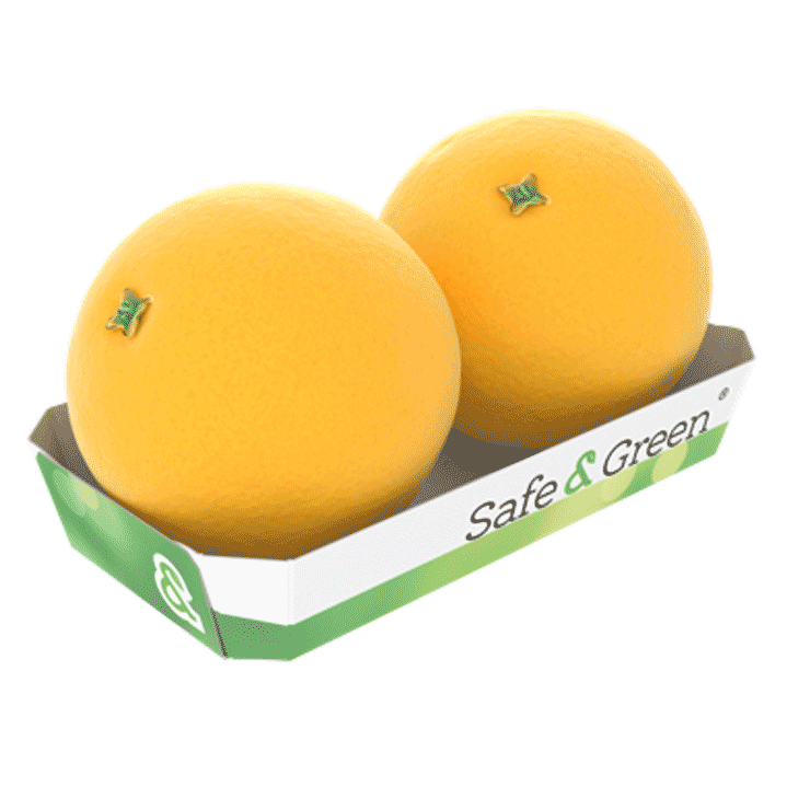 Sinaasappel bakje, fruitbakje voor sinaasappels 