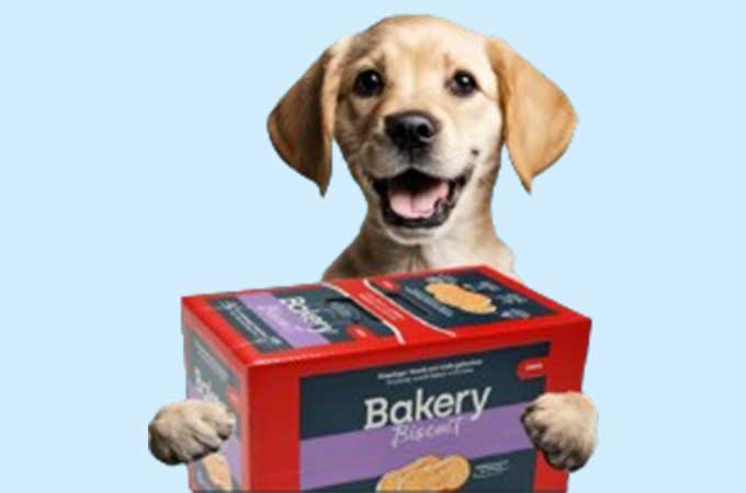  Veja como ajudamos a empresa de comida para animais de estimação Mera a eliminar 25 toneladas de plástico anualmente com uma solução de embalagem de papelão ondulado