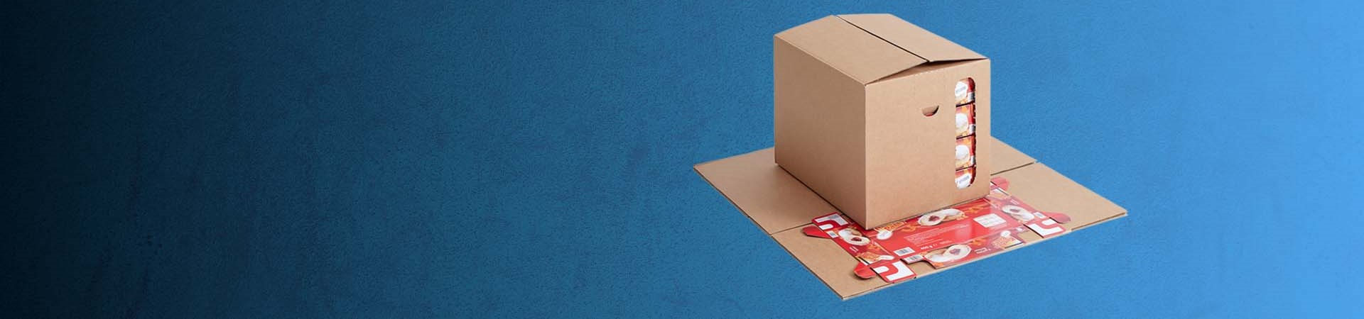 Aryzta Transportkarton Berliner Innovation