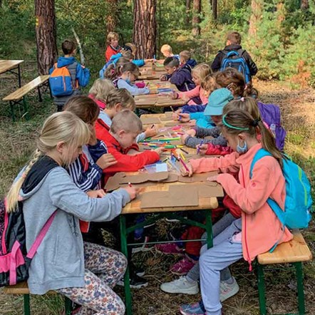 COD-Reduktion, SDR-Bericht