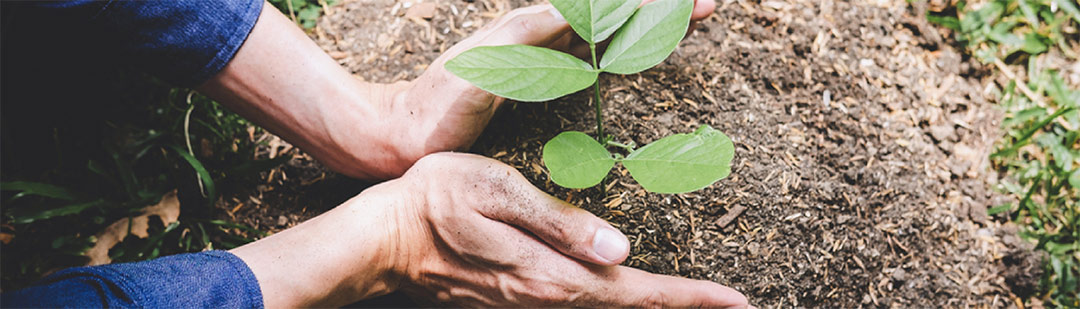 cultura-ambiental-prevenir-incendios-forestales