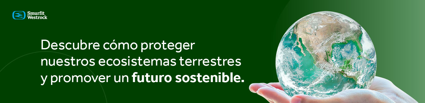 CTA-ods-12-produccion-y-consumo-responsable