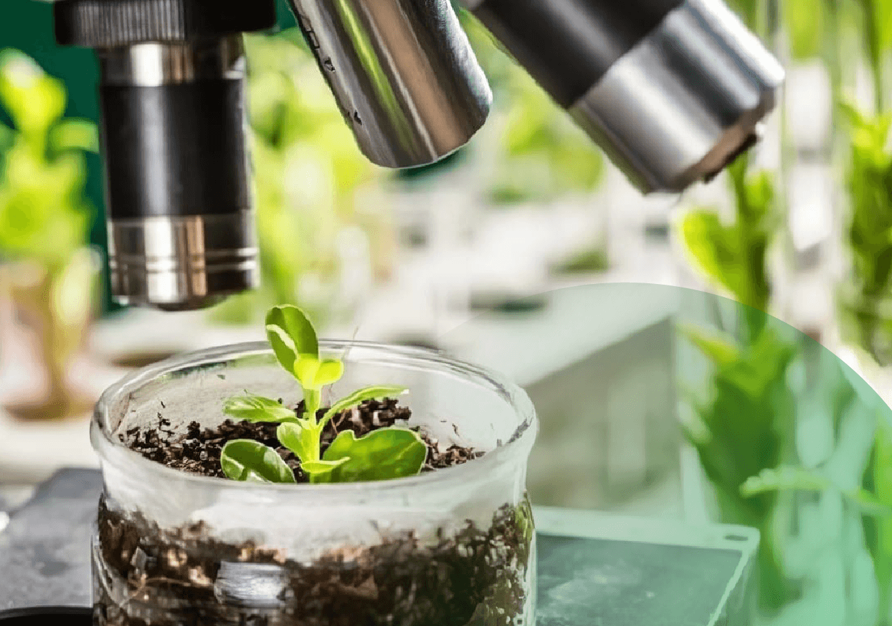 mejoramiento-genetico