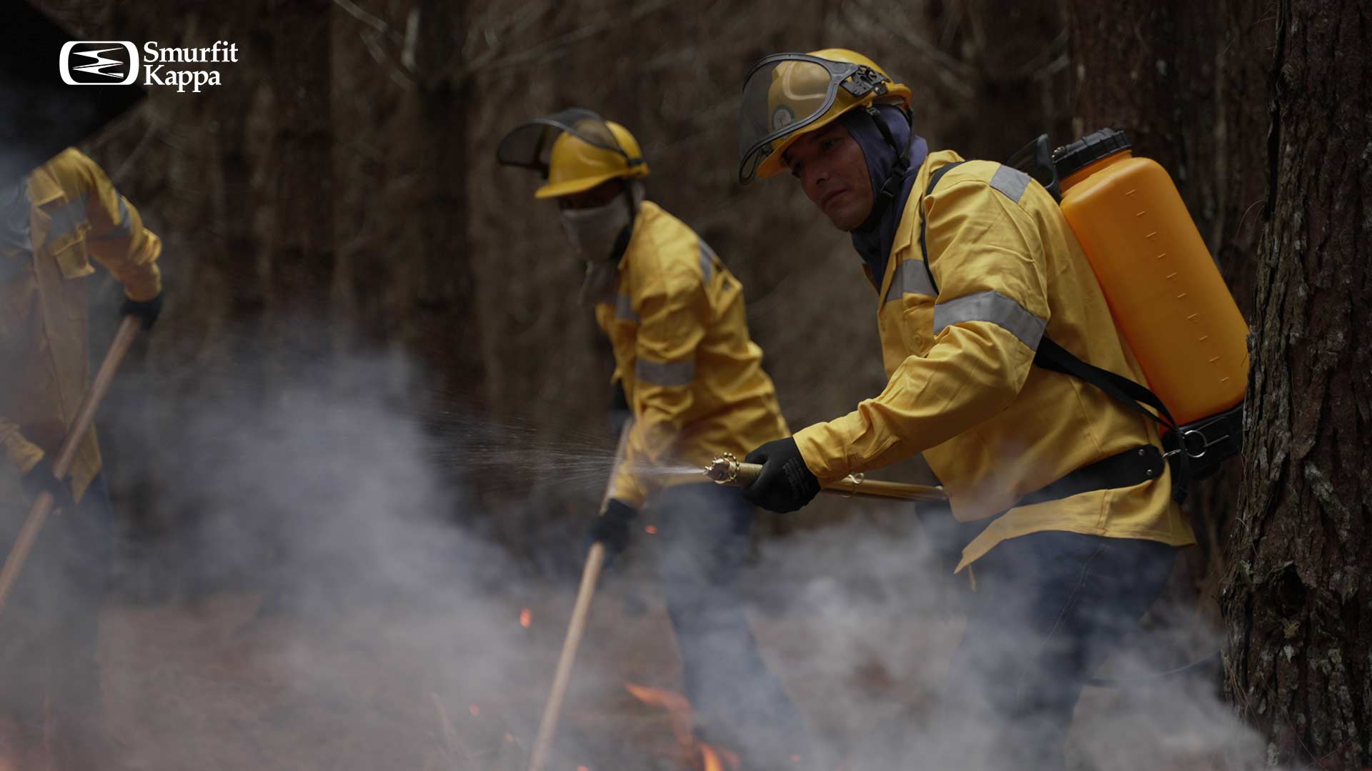 portada-prevenir-incendios-forestales