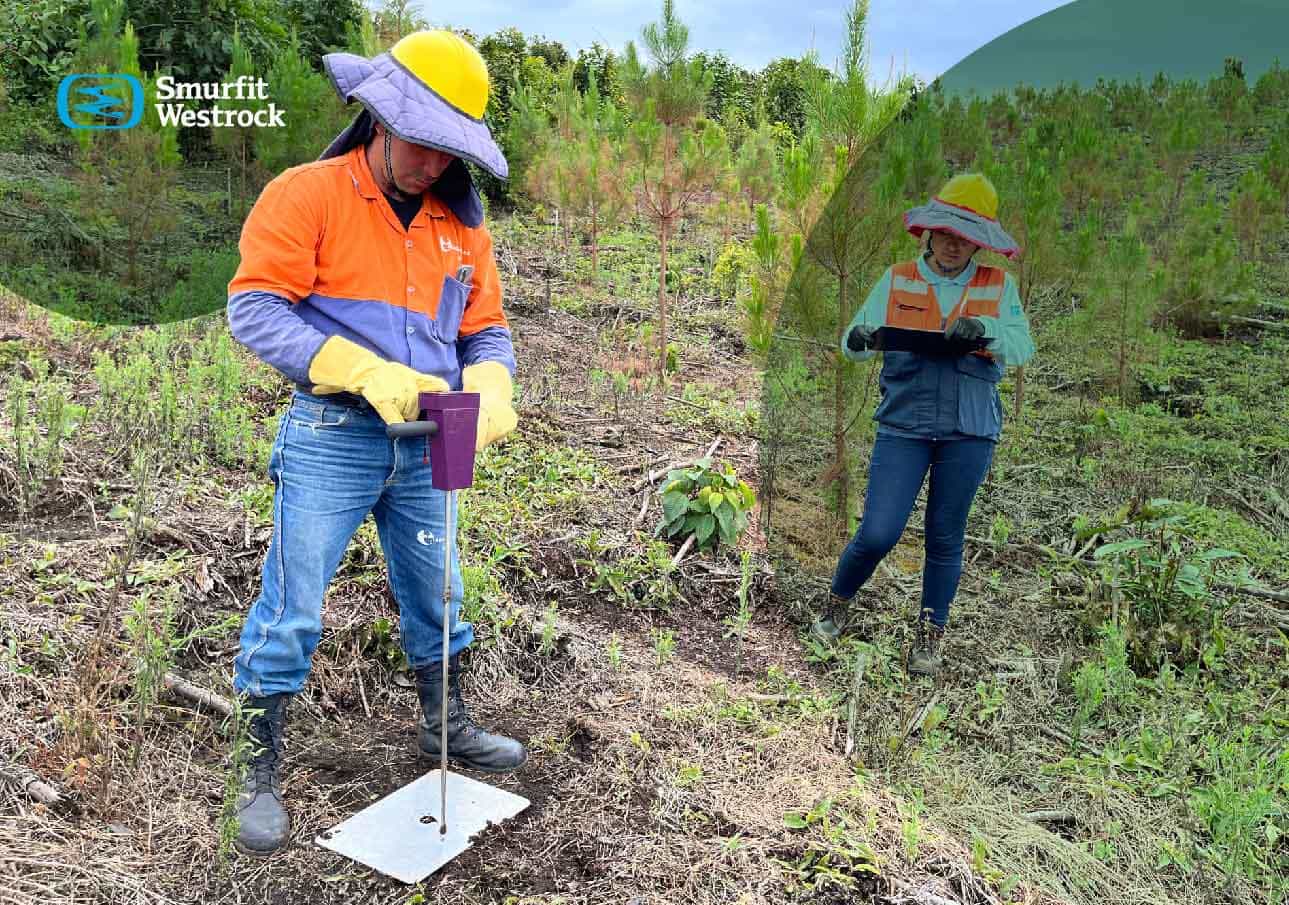 produccion-ods-12-produccion-y-consumo-responsable