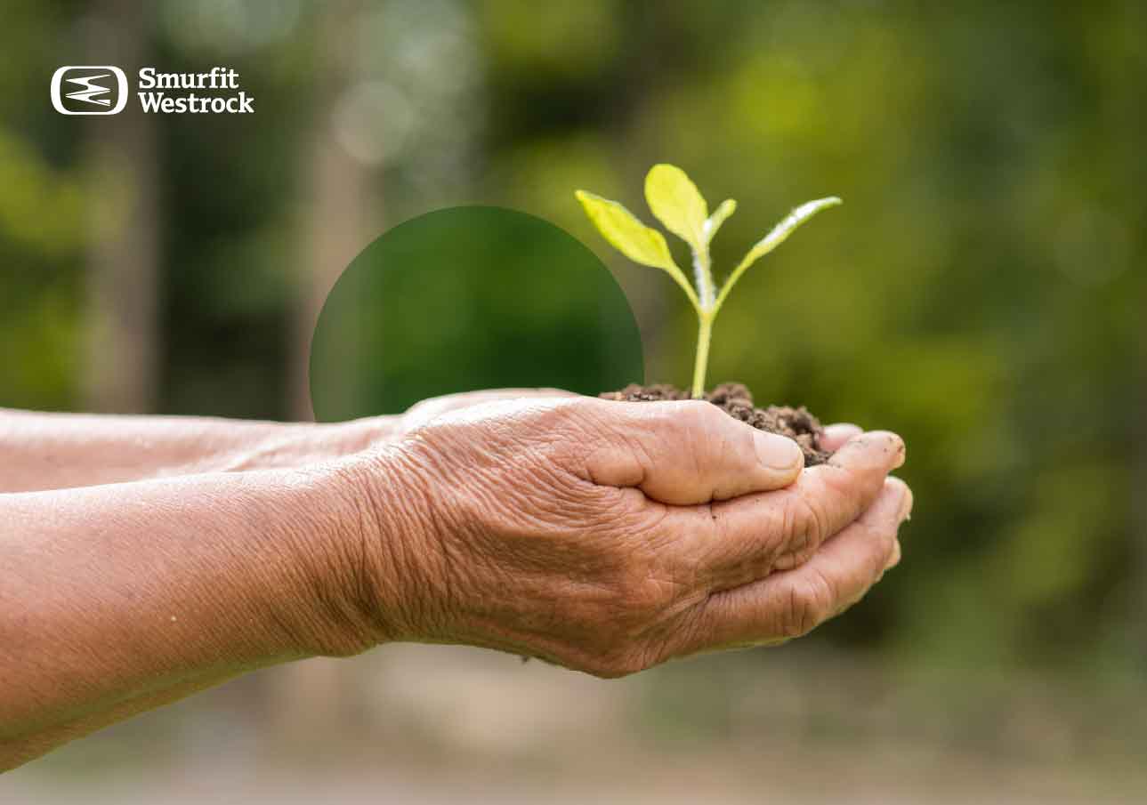 sostenibilidad-a-futuro