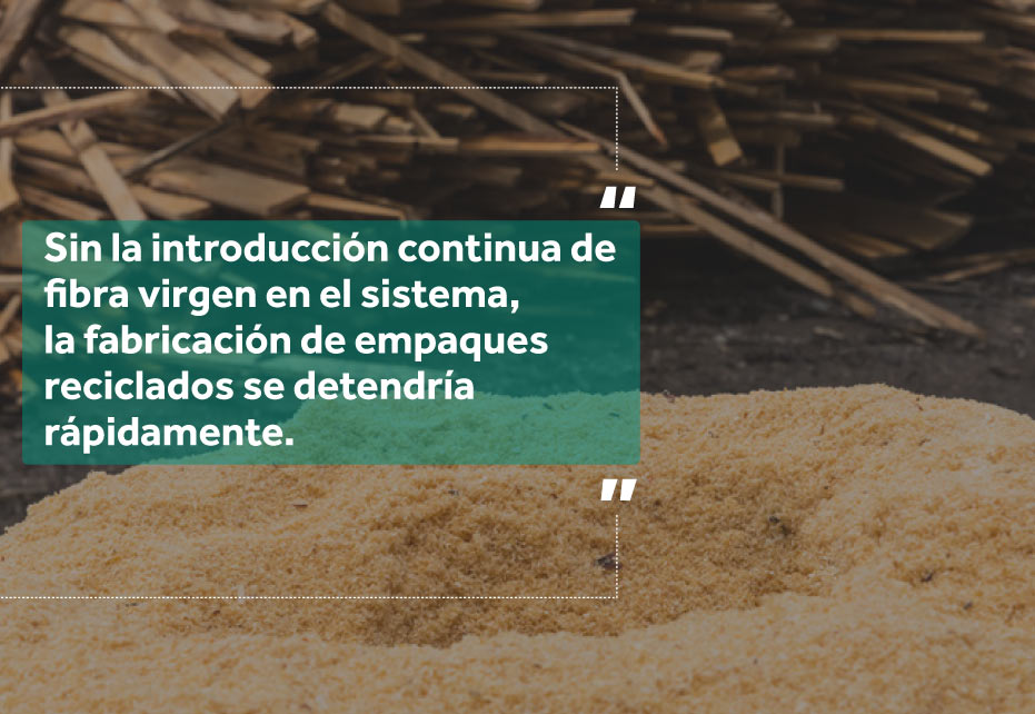 fibra-Virgen-o-reciclado-cita