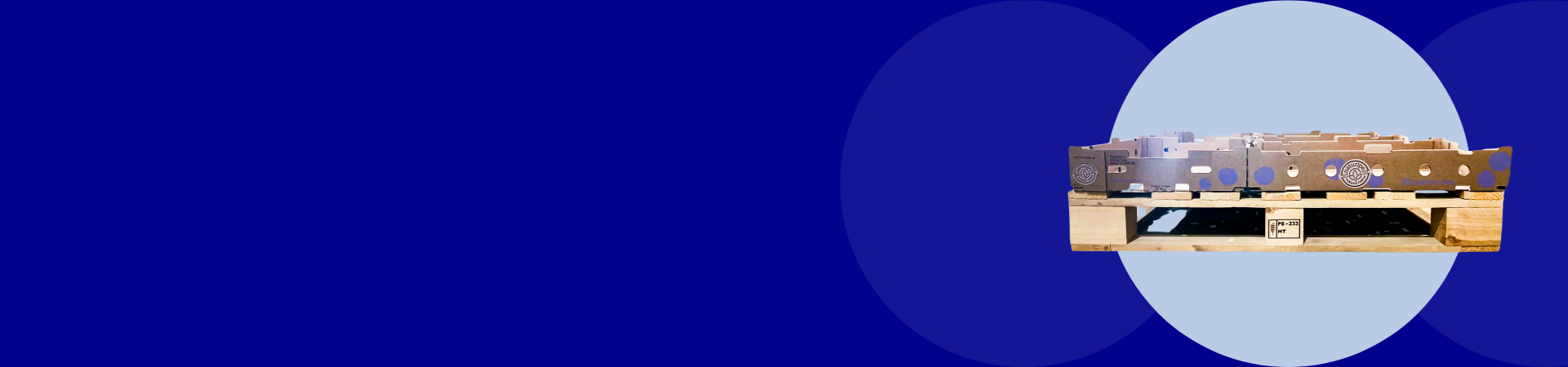 verfrut-caso-exito-banner