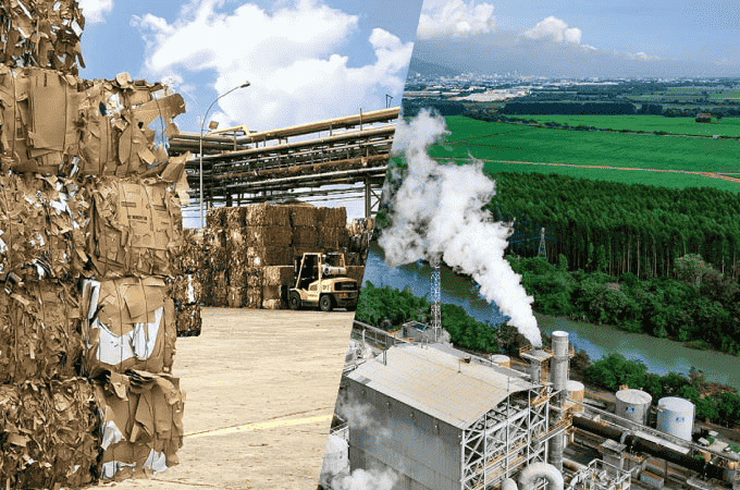 Reciclaje de cartón y plantaciones forestales comerciales de fibra virgen