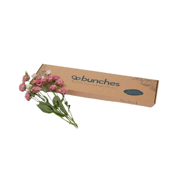 Letterbox, empaques personalizados para flores 