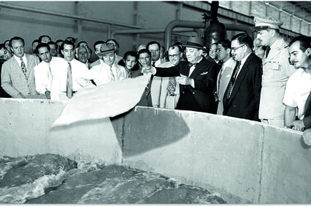 aniversario-80-sk-colombia-1944