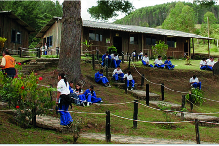 aniversario-80-sk-colombia-1990-450x300