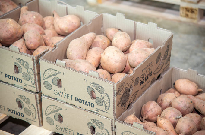 Descubre cómo Naturagro logró exportar camote fresco desde Perú a Europa con soluciones innovadoras en empaque y transporte, abriendo nuevos mercados internacionales.