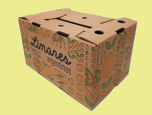 boletin-circular-agosto-limones-argentinos