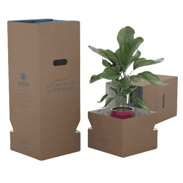 Clic y colecta, empaques flores 