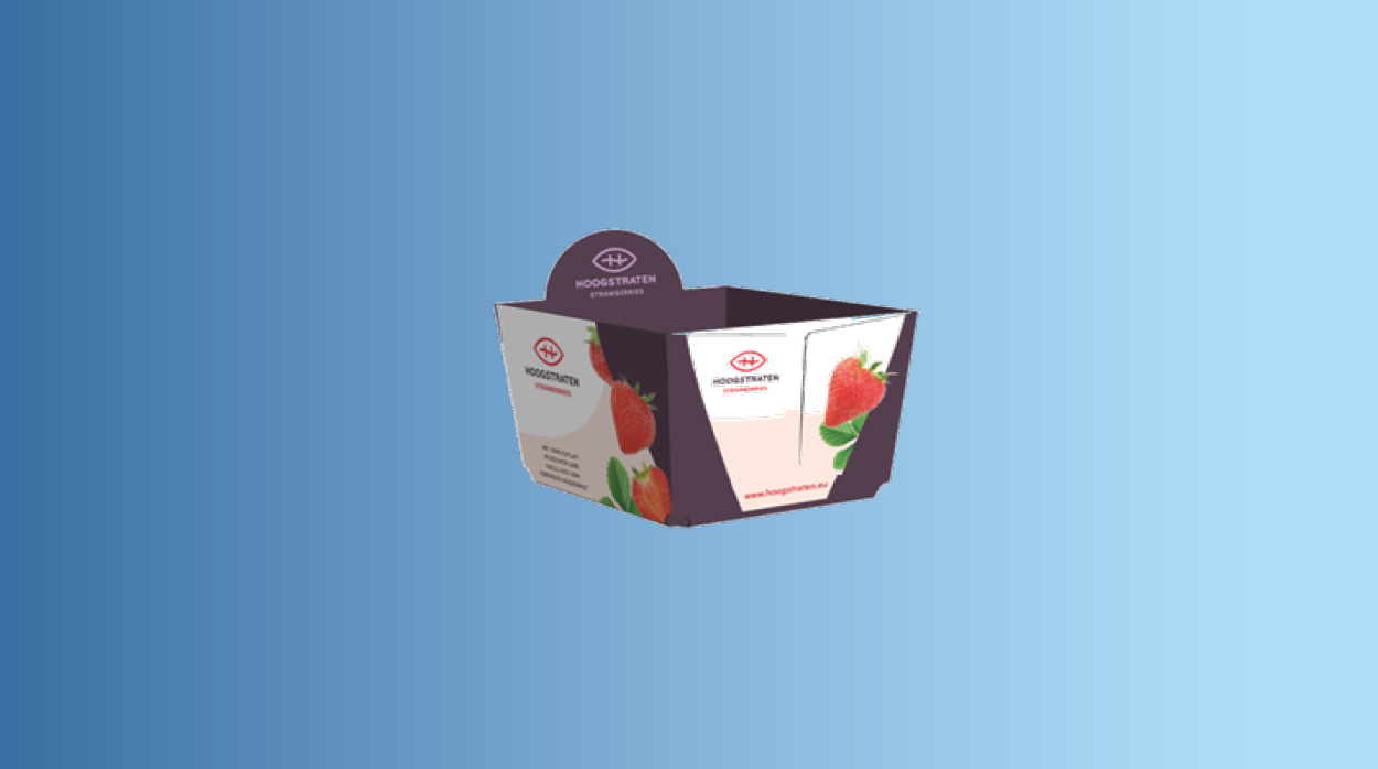 Hoogstraten Erdbeerverpackung