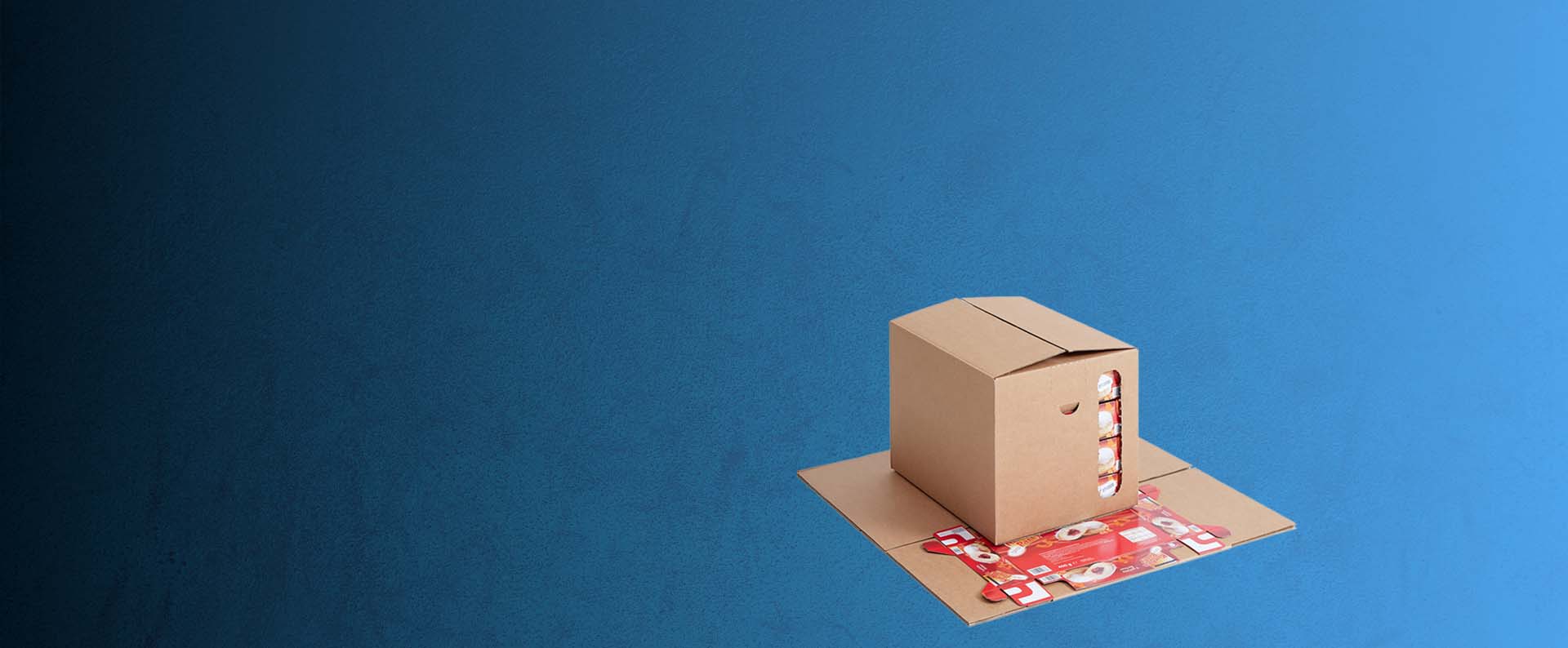 Aryzta Transportkarton Berliner Innovation