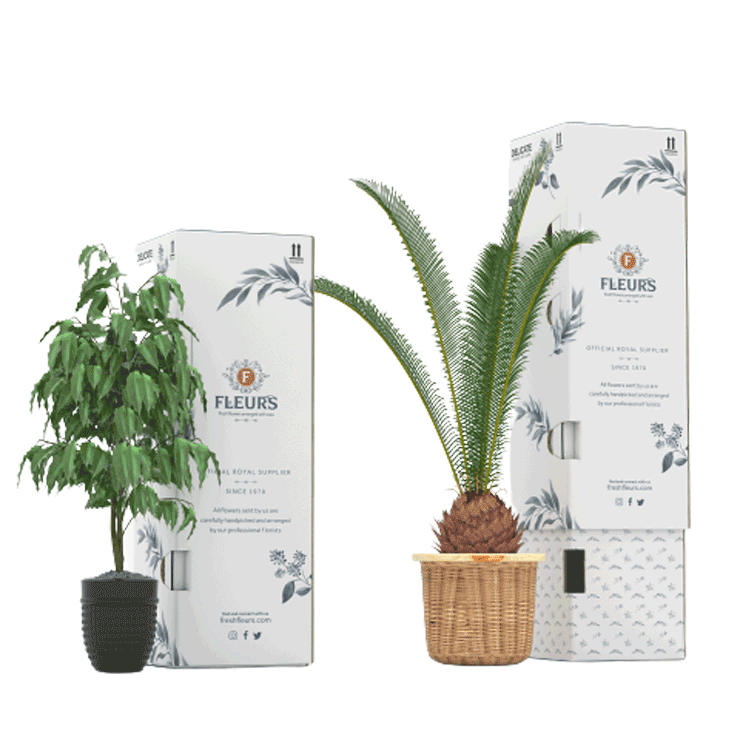 Teleskopische Schachtel, Blumenverpackung