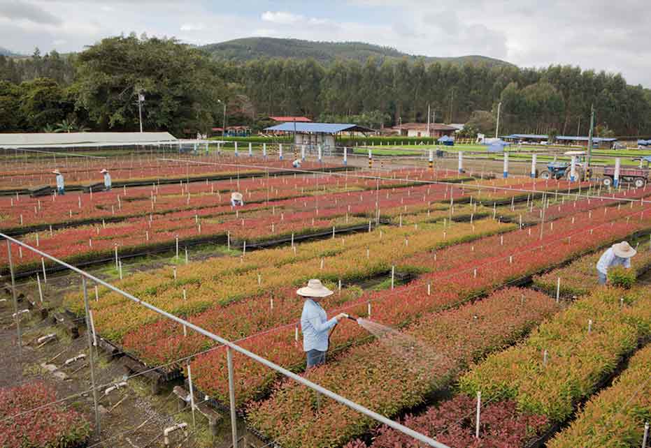 Smurfit Kappa lancerer sin anden Green Bond Report