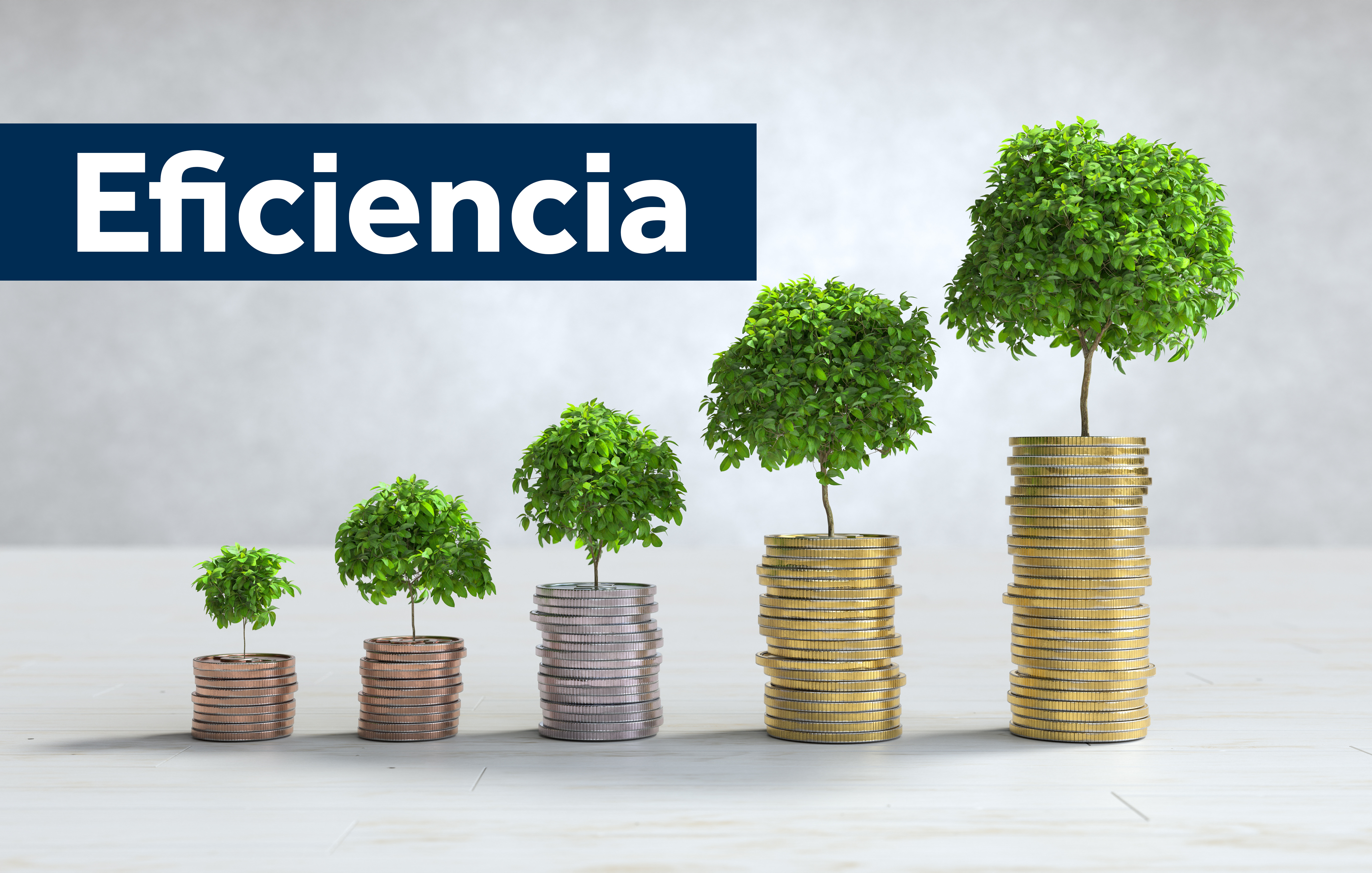 eficiencia