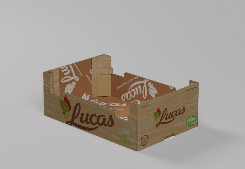 embalaje_grupo_lucas