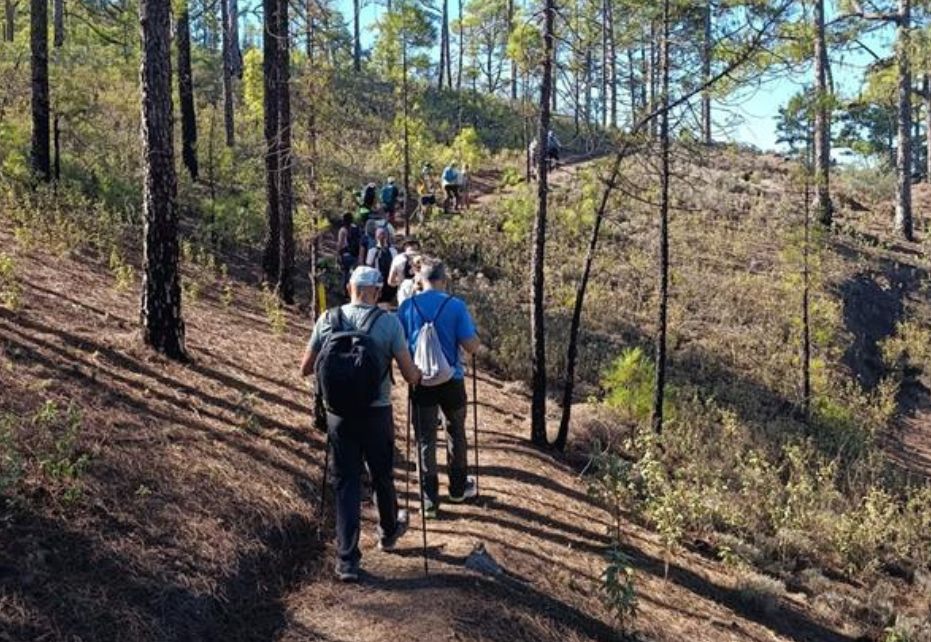 Canarias Walking festival