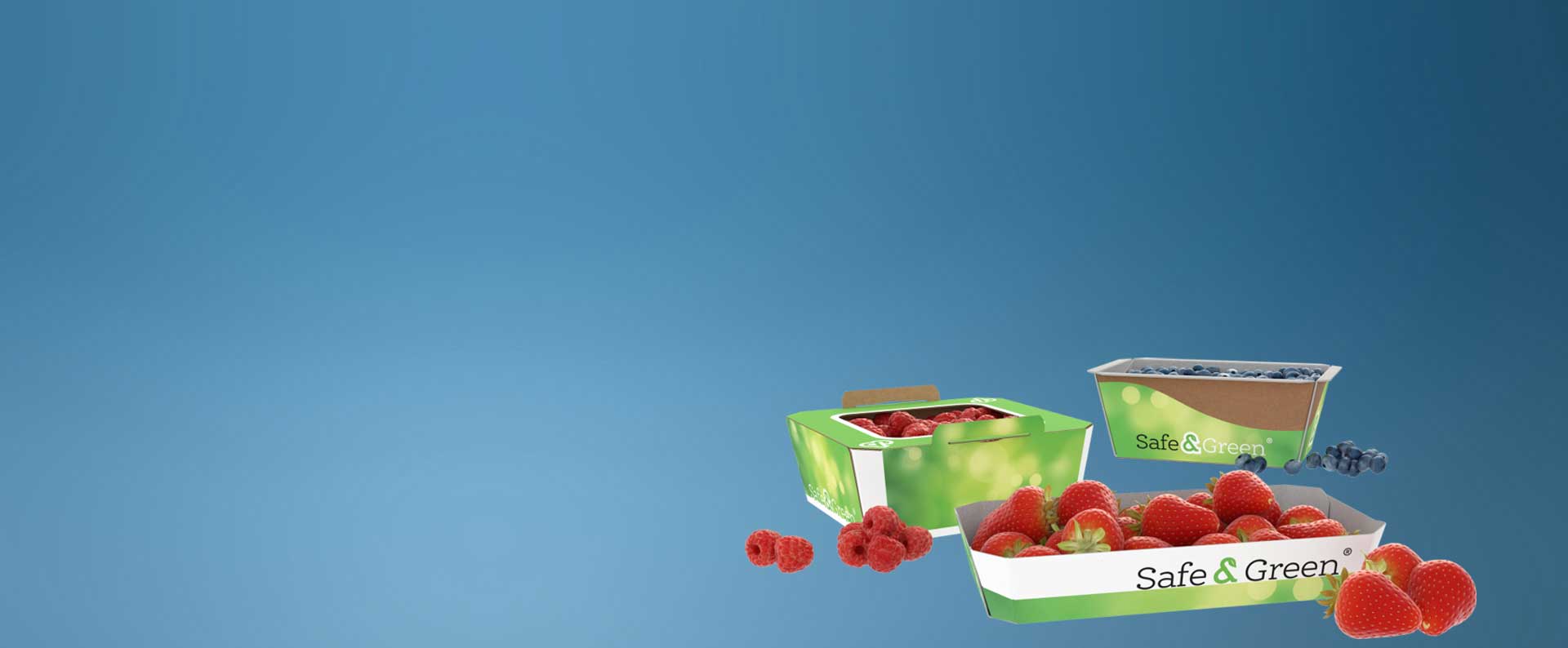 Emballage en carton ondulé recyclable Safe&Green pour petits fruits 