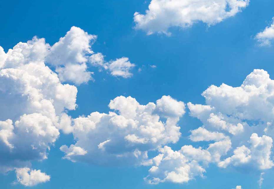 Smurfit Kappa reçoit l'approbation de l'initiative SBT pour ses objectifs de réduction des émissions de carbone