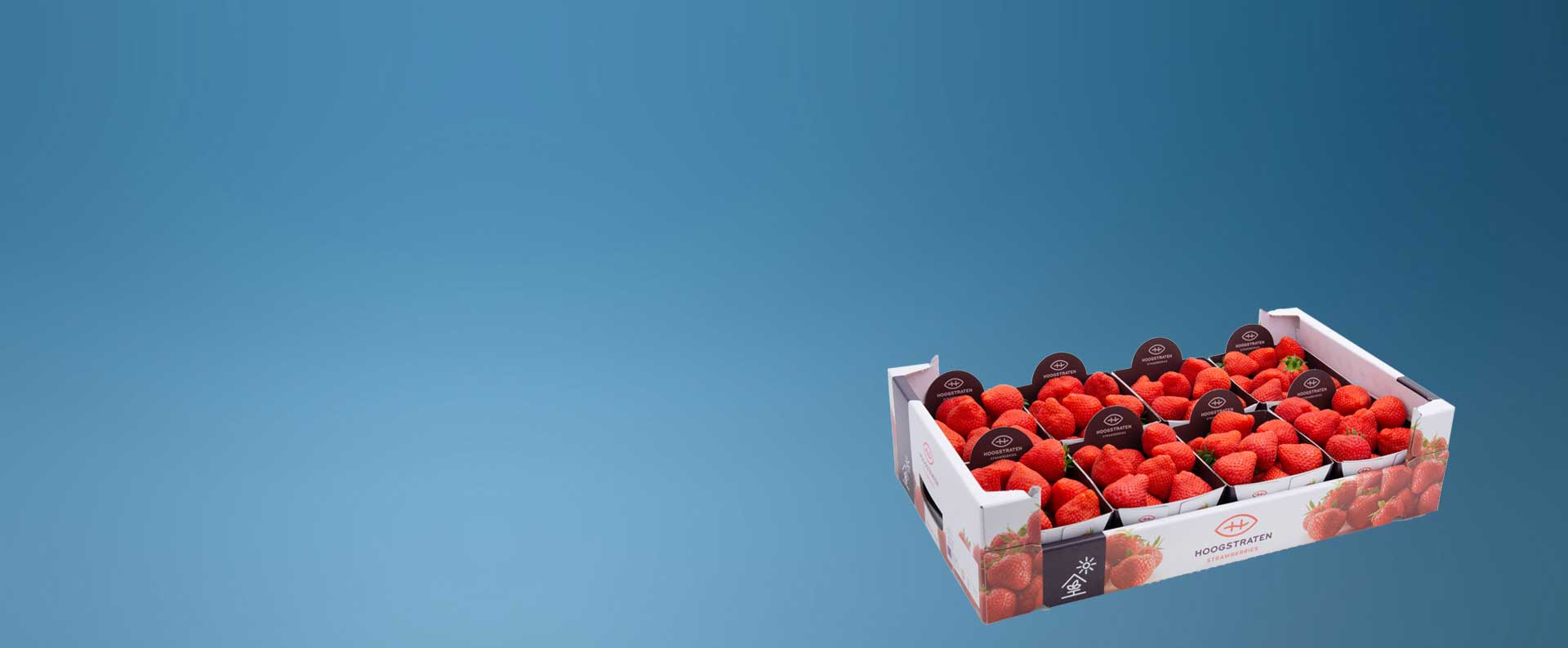 Strawberry Punnet Packaging, Strawberry Punnets