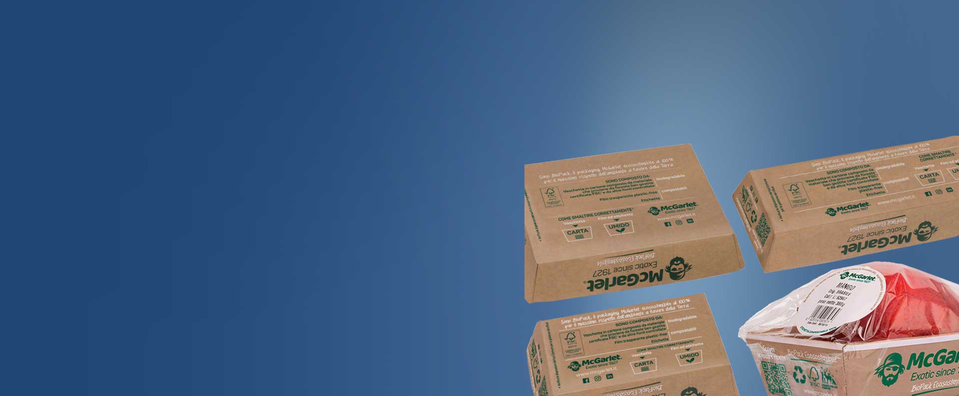 Mcgarlet-safe-and-green Packaging