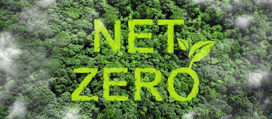 Net Zero
