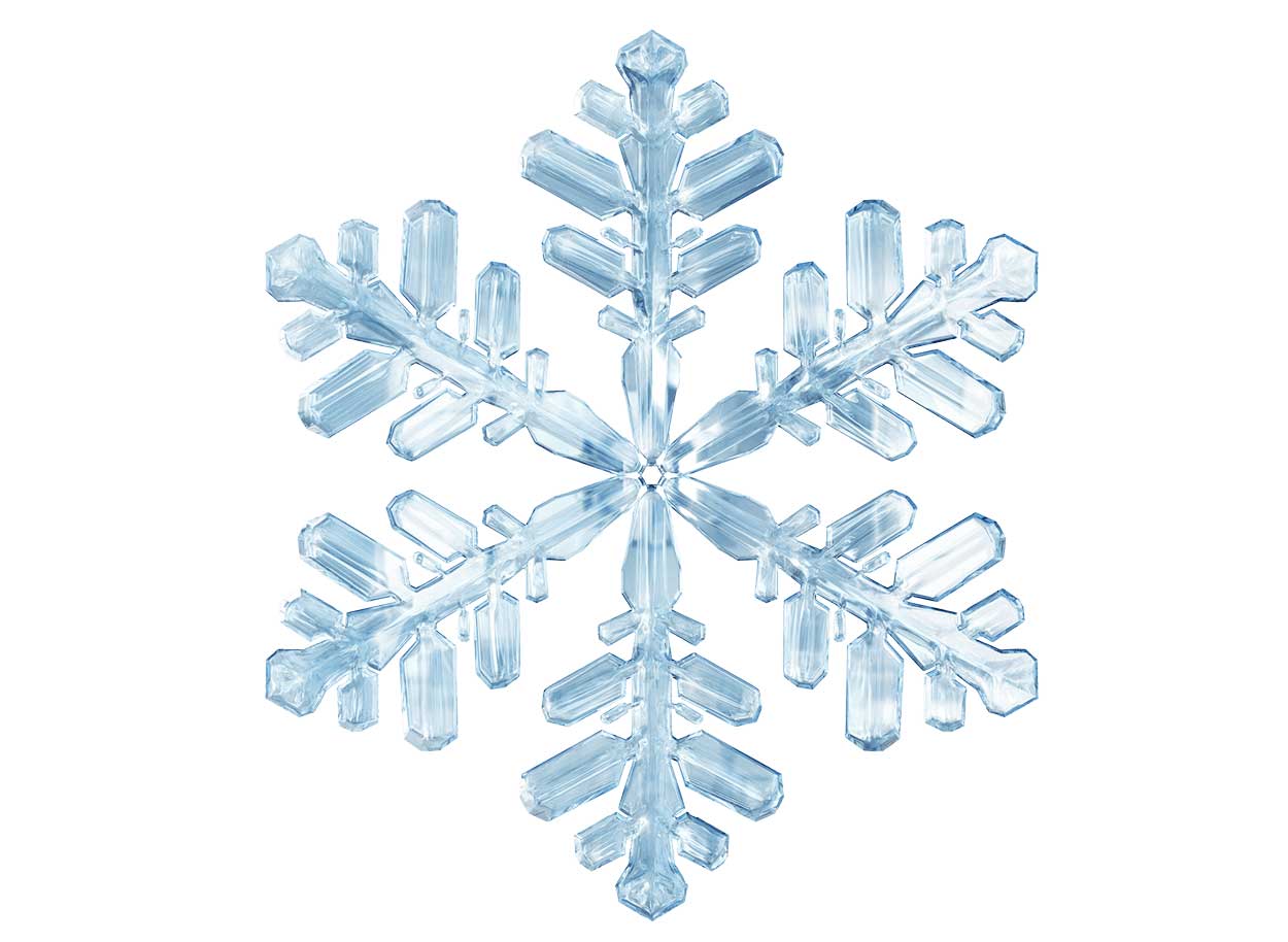 Frozen Food, Frozen Food Packaging