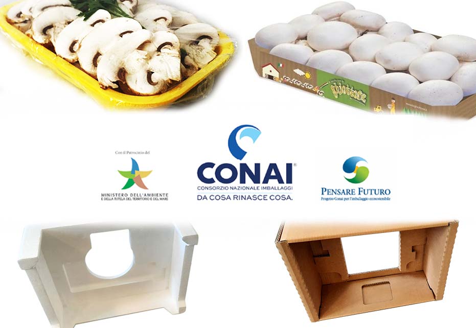 Smurfit Kappa Italia premiata da Conai per due soluzioni di packaging a basso impatto ambientale