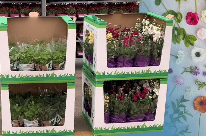 Con il giusto imballaggio Copraval ha migliorato l’esposizione di fiori e piante all’interno della GDO