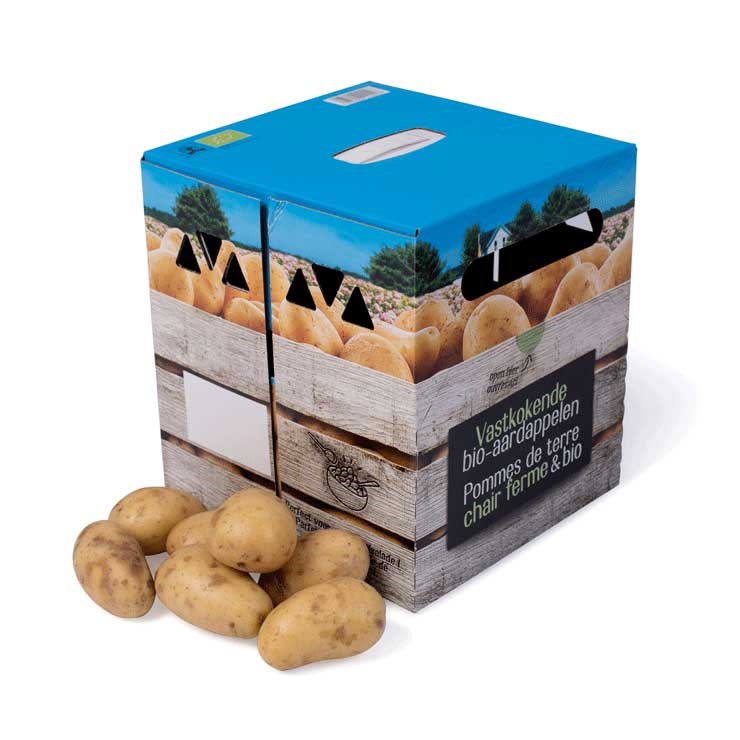 Kartonnen verpakkingen, golfkartonnen verpakkingen, fruit en groente