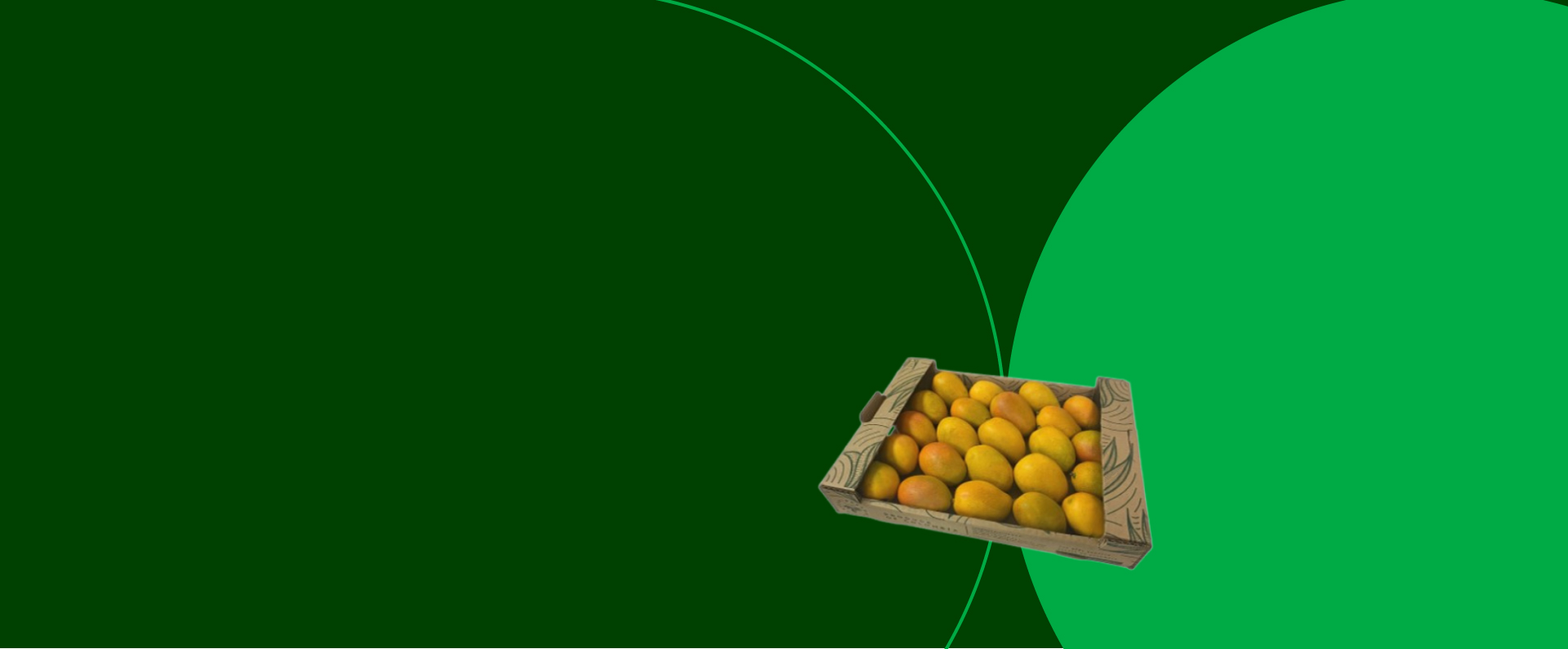 caribbean-exotics-banner