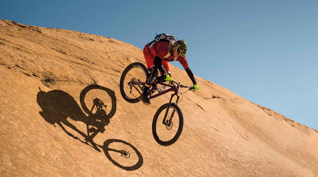 przykład współpracy z BFI