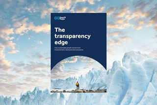 Badanie zrównoważonego rozwoju - raport