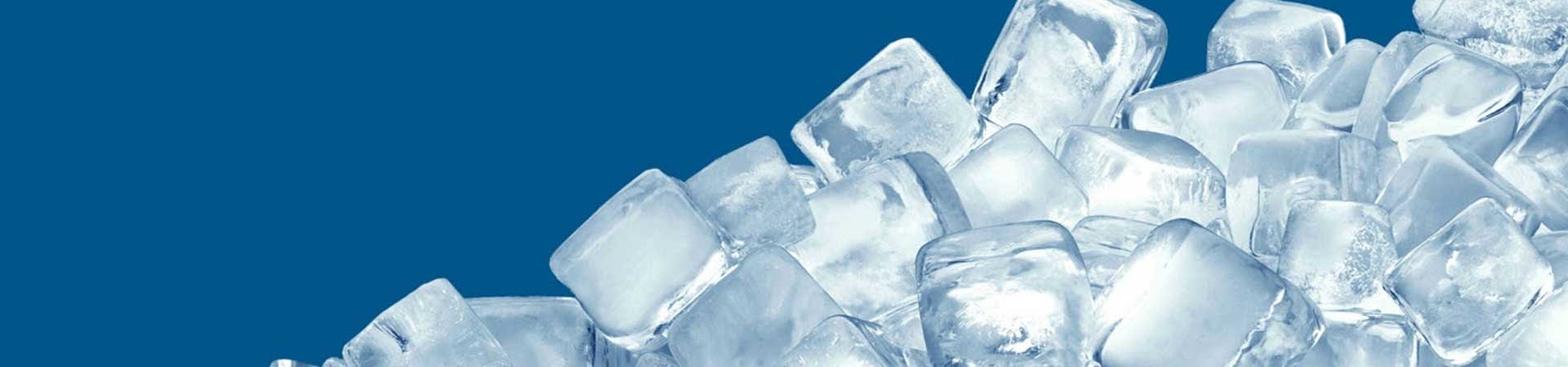 opakowanie na mrożonki