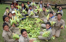 Fundacja Smurfit Kappa