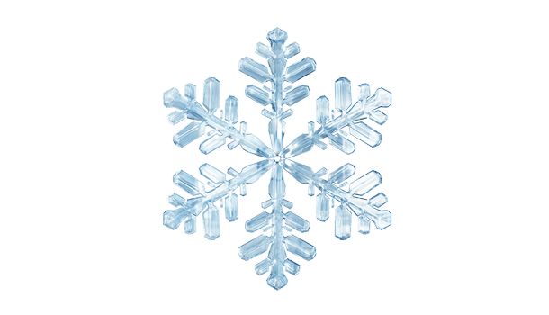 Alimentos congelados, embalagens para alimentos congelados