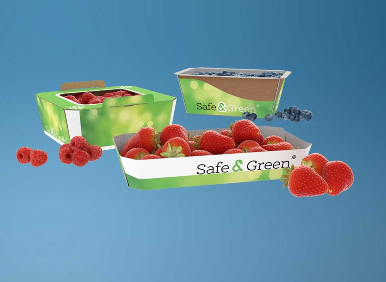 Punnets de cartão, punnets para frutos silvestres